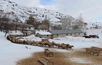 Erzincan’da çiftçilere kar ve tipi uyarısı