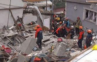 Fatih’te çöken binada enkaz altında kalanları kurtarma çalışmasına köpeklerde katıldı