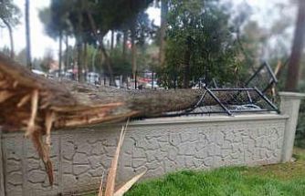 Fırtına Tavas’ta hayatı felç etti