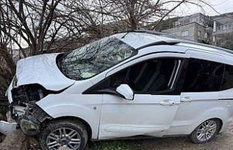 Freni boşalan hafif ticari araç ağaca çarptı: 1 yaralı