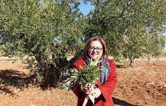 Gaziantep Büyükşehir’den Nizip’e örnek tarımsal destekler