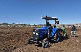 Gaziantep’te nohut ekimi başladı