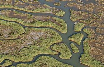 Gediz Nehri mercek altında