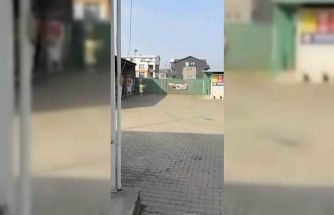 Gemlik Belediyesinin Umurbey’deki barınağını önünde toplanan hayvanseverler içeriye alınmadı