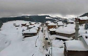 Giresun yaylalarında görsel şölen