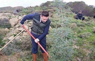 Gökçeada’da fidanlar toprakla buluştu