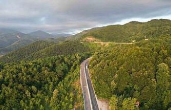 Google’da 3,5 milyon kez aranan Bolu Dağı tartışmasının altından bakın ne çıktı