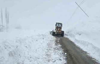 Hakkari’de 61 yerleşim yerinin yolu kapandı