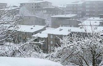 Hakkari’de kar yağışı