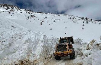 Hakkari’de tüm köy ve mezra yolları ulaşıma açıldı