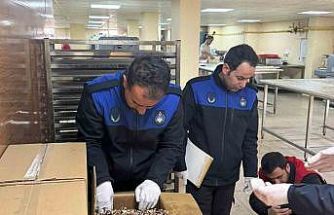 Haliliye’de 180 kilogram küflenmiş ceviz ele geçirildi