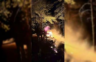 Hatay’da ormanlık alanda çıkan yangın büyümeden söndürüldü