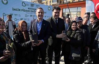 Havran’da 102 çiftçiye 2 bin 500 incir fidanı dağıtıldı