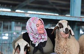 Hayvancılık desteği üreticileri sevindirdi