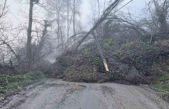Heyelan köy yolunu ulaşıma kapattı