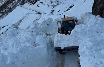 Hizan’da köy yoluna çığ düştü