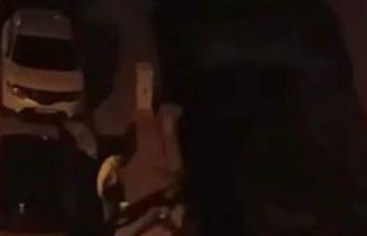 İki grup arasındaki yumruklu kavga kamerada