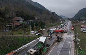 İki tır çarpıştı, D-650 savaş alanına döndü