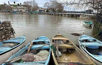 İstilacı İsrail sazanları balıkçılara gelir kaynağı oldu