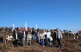 İyilik Kulübü, Yeşil Vatan için sahada