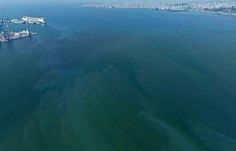 İzmir Körfezi’nde yine dış kaynaklı kirlilik alarmı