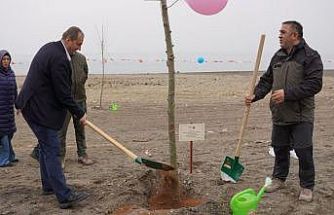 İznik’te fidanlar toprakla buluştu