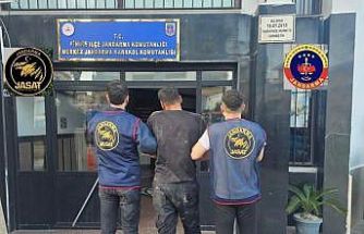 Jandarma 15 günde 973 aranan şüpheliyi yakaladı