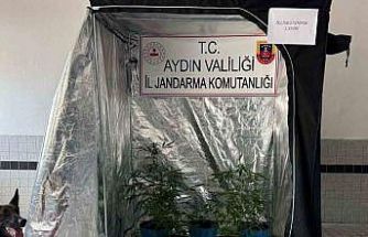 Jandarma narkotik affetmedi