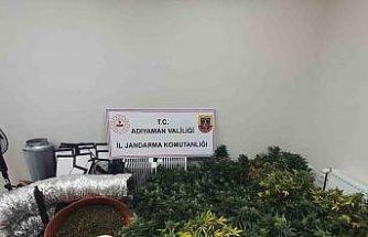 Jandarmadan uyuşturucu operasyonu: 1 gözaltı