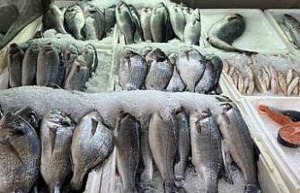 Kahramanmaraş’ta su ürünleri av yasağı başladı