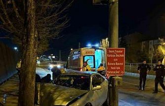 Kaldırıma çıkan otomobil ağaca çarptı: 2 yaralı