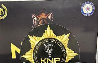 Karabük’te uyuşturucu operasyonlarında 9 kişi yakalandı