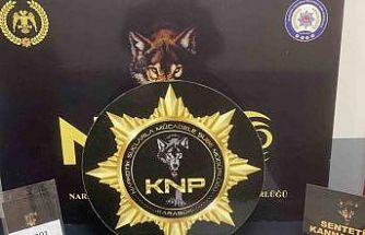 Karabük’te uyuşturucu operasyonu: 5 tutuklama