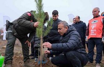 Karaman’da 6 bin fidan toprakla buluşturuldu