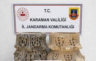 Karaman’da tarihi eser ele geçirildi: 15 tutuklama
