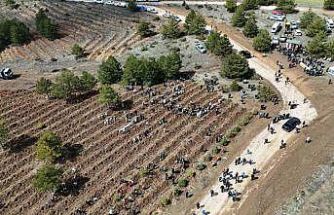 Kastamonu’da 210 bin fidan toprakla buluşturulacak