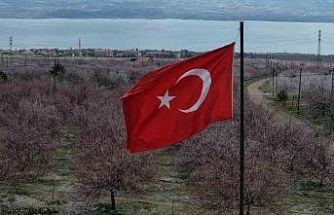 Kayısı bahçeleri beyaza büründü, ortaya eşsiz manzaralar çıktı