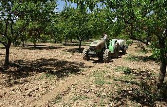 Kayısı üreticilerine manolya hastalığı uyarısı