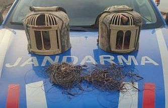 Kırşehir’de kaçak keklik avcıları yakalandı