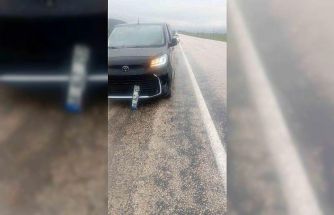 Köpeğe çarpan araç kaza yaptı: maddi hasar oluştu