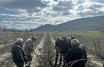 Korkuteli’nde çiftçilere budama eğitimi