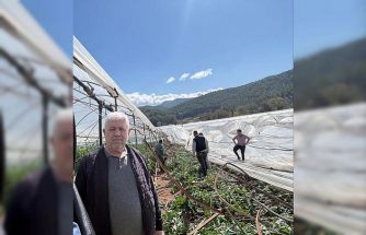 Kumluca’da hortum seraları vurdu, 10 dönüm alan zarar gördü