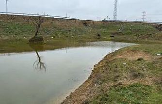 Kuruyan gölet yeniden canlandı: Çatlayan topraklar suyla buluştu