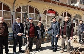 Kütahya’da yerel kiraz türleri yeniden toprakla buluşuyor