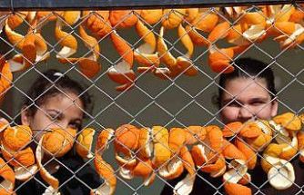 Limon ve turunç kabukları kadınların elinde değerleniyor