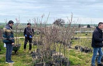 Lüleburgaz’da fidan satış noktalarına denetim