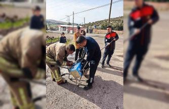 Mahsur kalan köpeklerin yardımına itfaiye yetişti