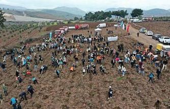 Manisa’da Orman Haftası’nda binlerce fidan toprakla buluştu