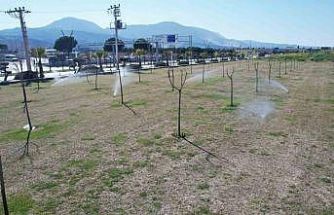 Manisa’da yeşil alanlarda akıllı sulama dönemi başladı
