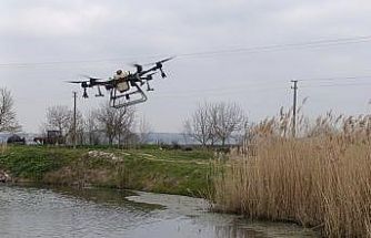 Manyas’ta sivrisinek ile mücadele seferberliği